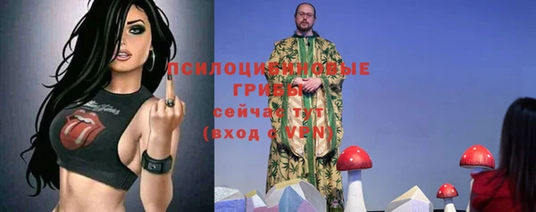 ALPHA-PVP Осинники