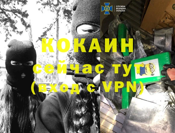 прущие грибы Остров