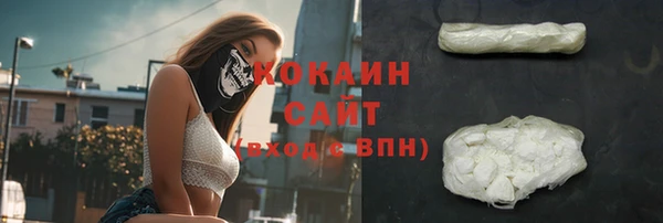 бошки Анива