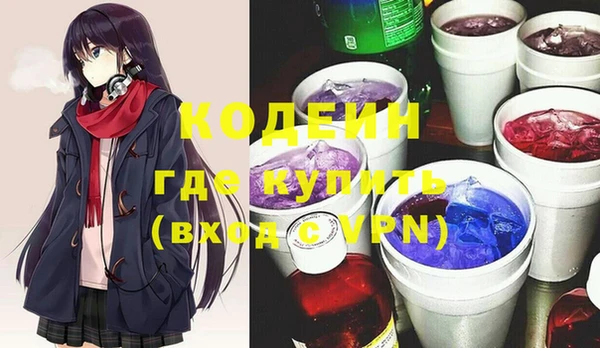 СК Няндома