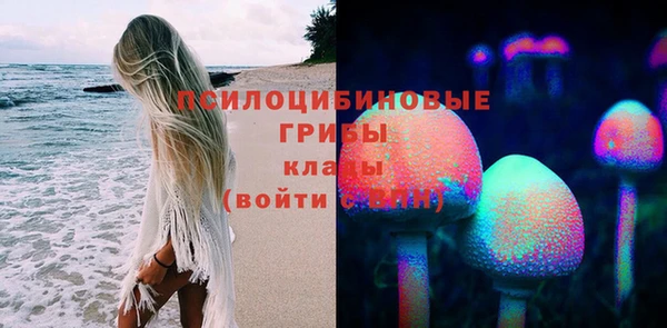 шишки Ельня