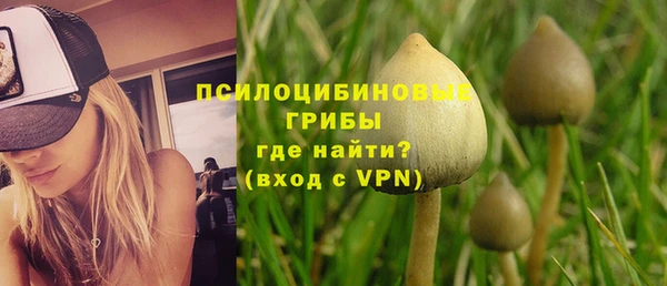 прущие грибы Остров