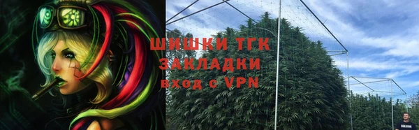 СК Няндома
