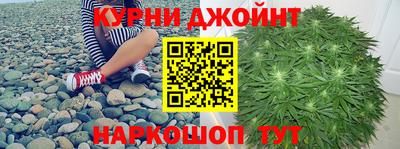 сатива Заволжье