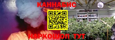 сатива Заволжье
