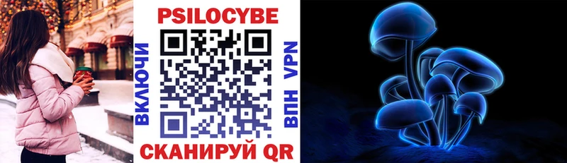 Галлюциногенные грибы Psilocybine cubensis  Коммунар 