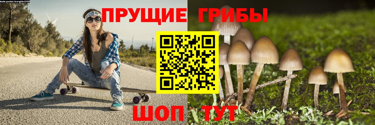 Галлюциногенные грибы мицелий  Вход с VPN  Псилоцибиновые грибы ЛСД  Коммунар 