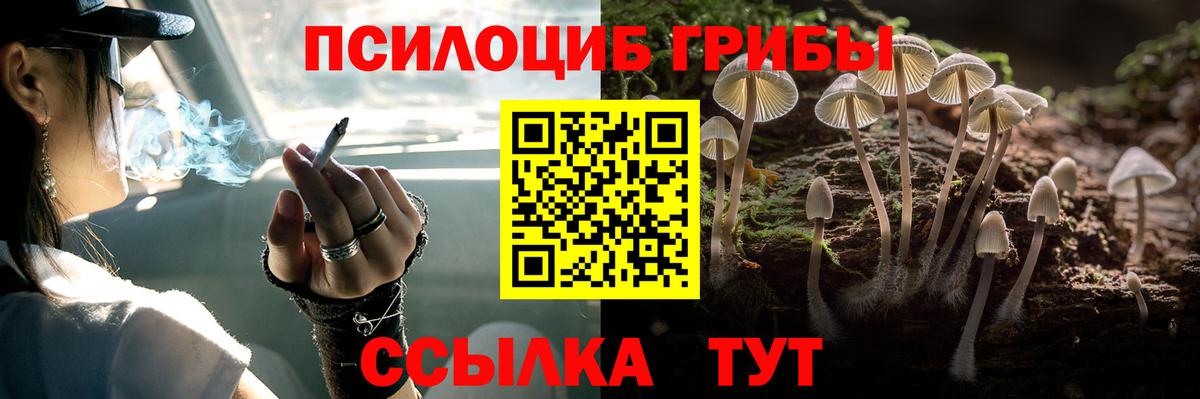 Галлюциногенные грибы Cubensis  Псилоцибиновые грибы Psilocybe  Коммунар 