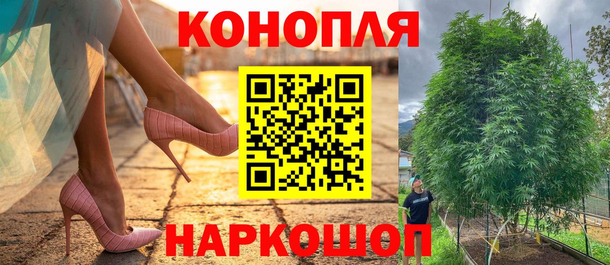 Марихуана сатива Коммунар